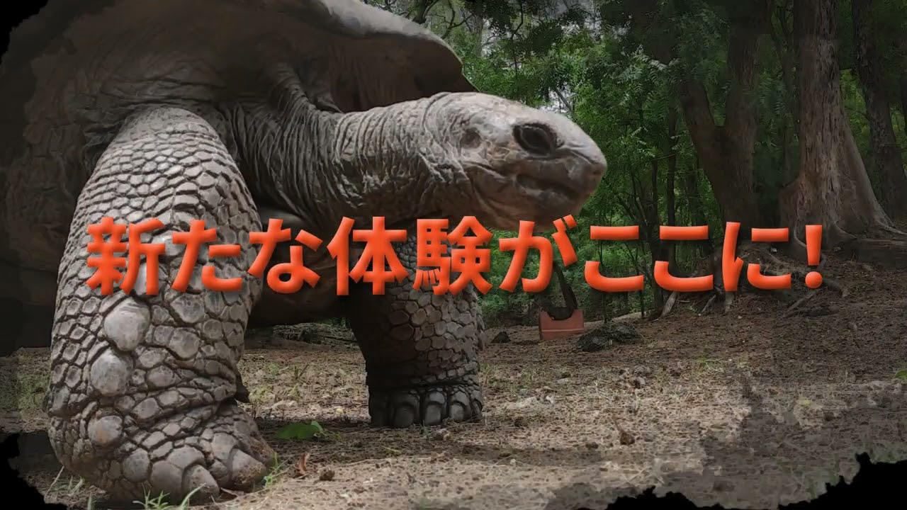 背景、ワイン