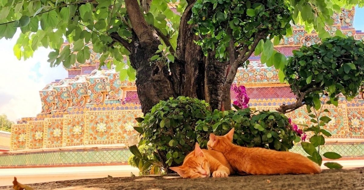 【エッセイ】社会人一年目。逃げるように旅をして見つけた、自分にとっての幸せ。 | Tabikobo Journey | 「旅」を旅するウェブメディア - 旅工房