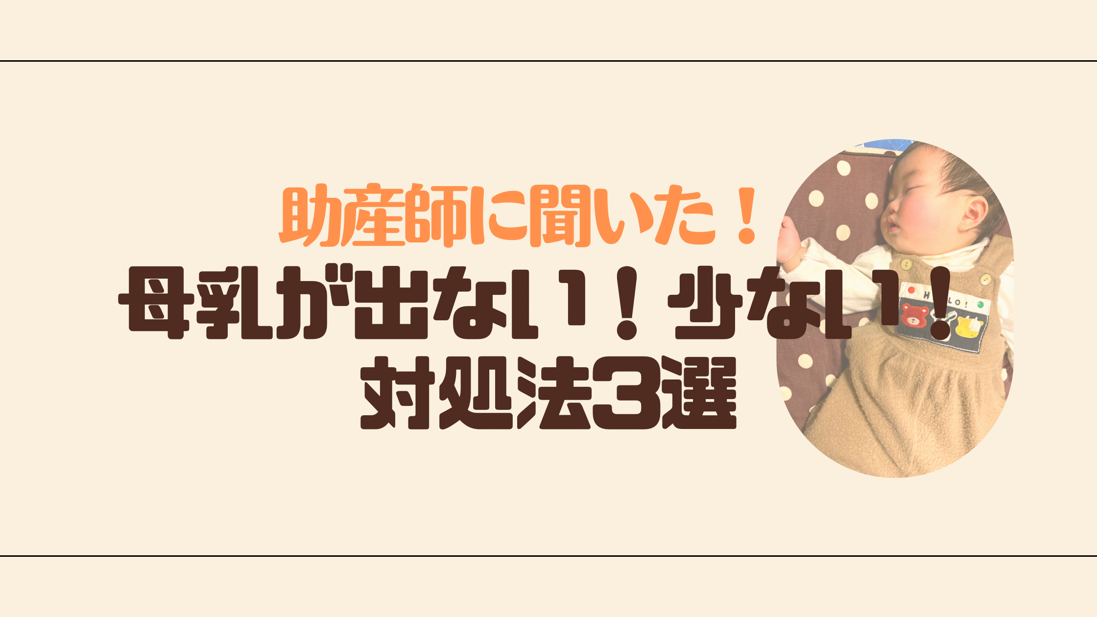 広報、wordpress
