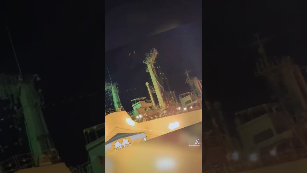 2023年霧フェス動画
