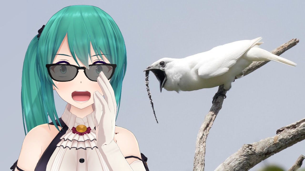 ロゴデザイン、ec