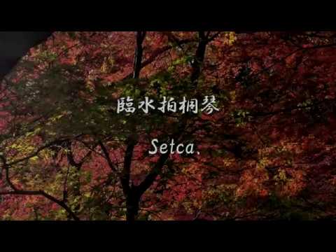 臨水拍桐琴 / Setca.