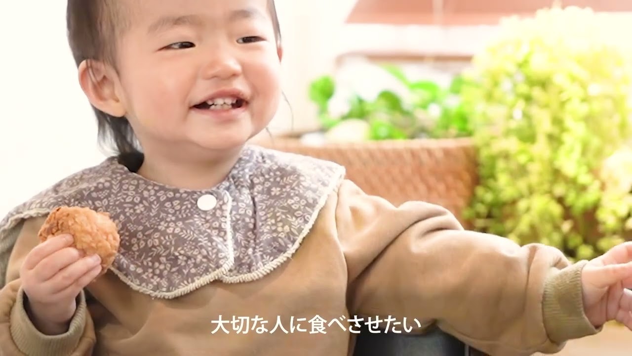 ドキュメンタリー、ポートフォリオ