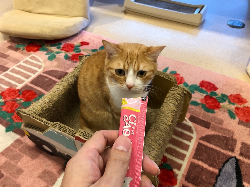 インスタグラム、酒蔵