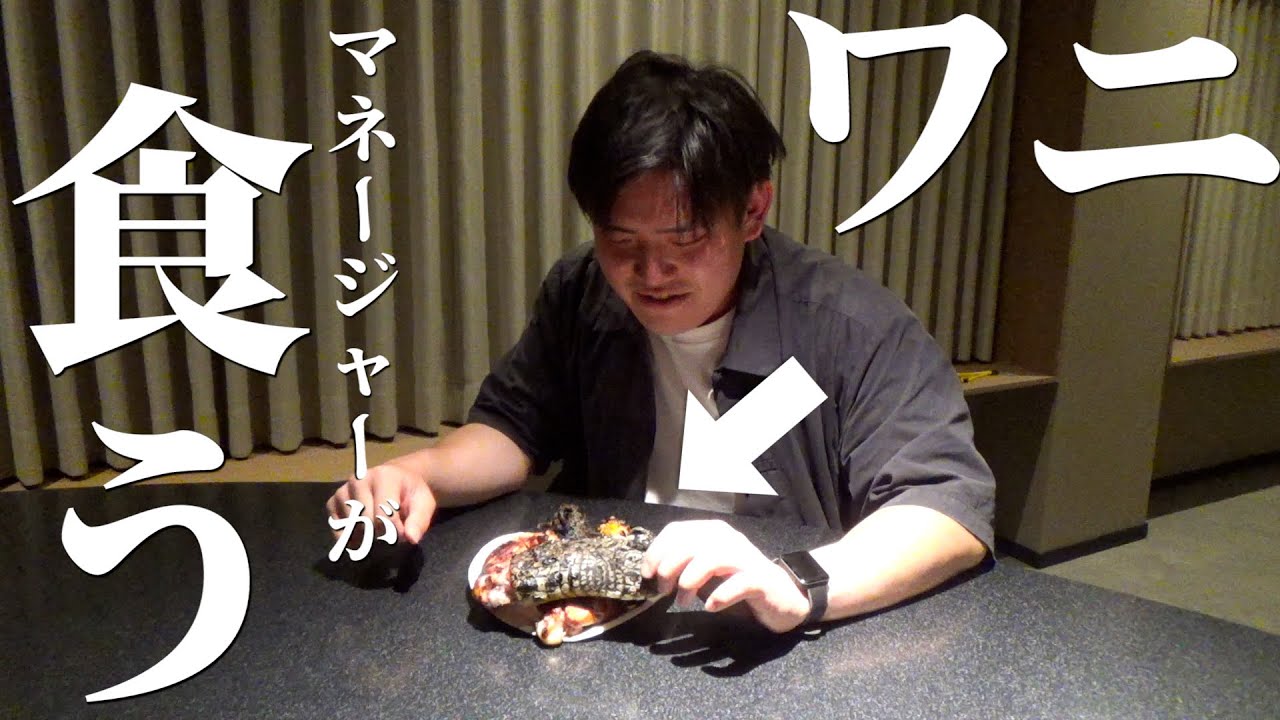 観光、マネーの達人