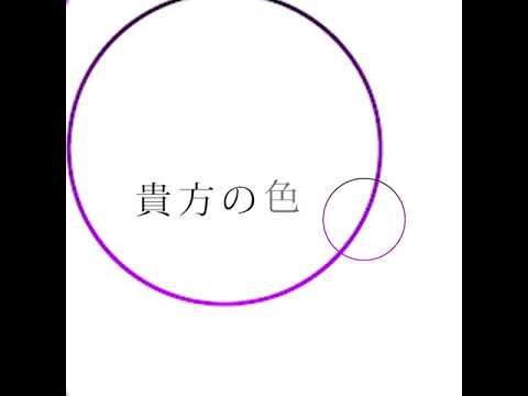 動物、動画制作