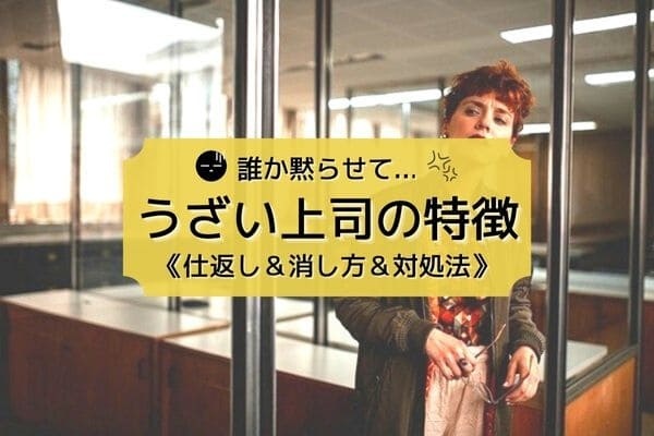 シンデレラ、ブロガー