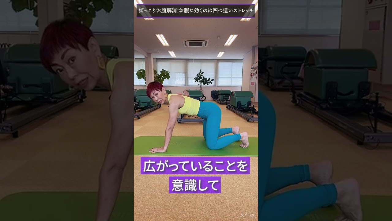 ストレッチShorts