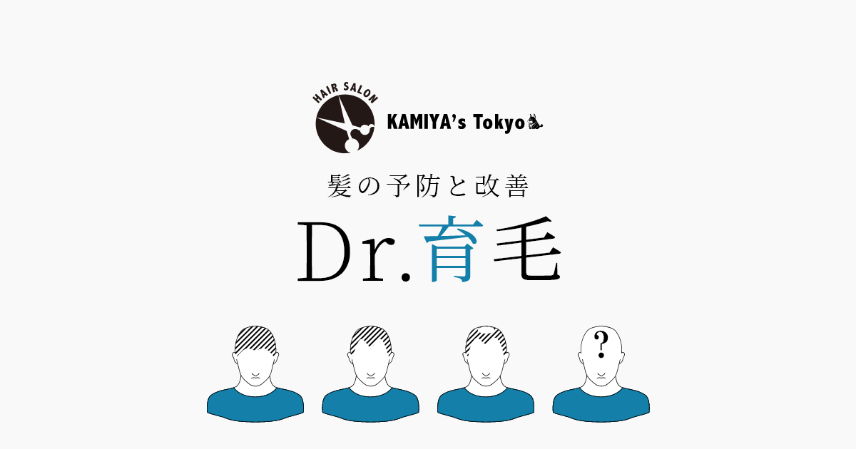 Dr.育毛　LP