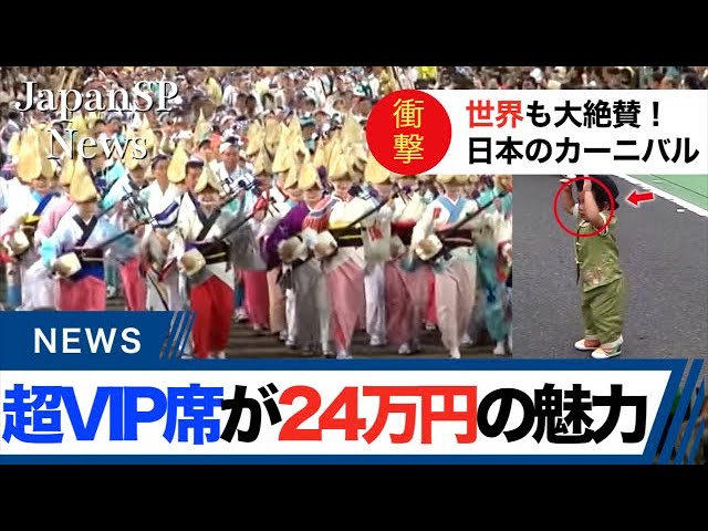 編集者、ポケモン