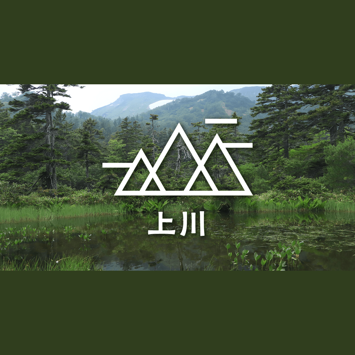 北海道・大雪山で沼めぐり。ヒグマの生息地をハイキング｜旅行プランは旅色で。
