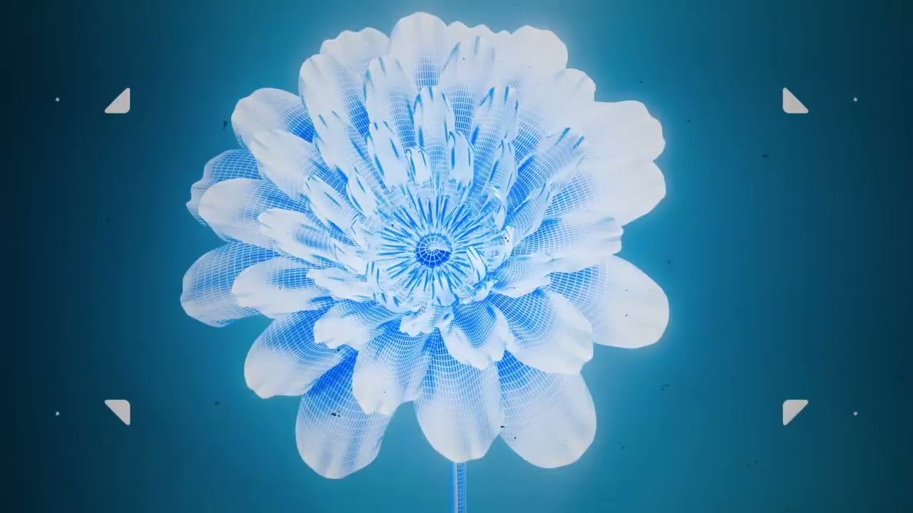 ピノキオ、motion graphics