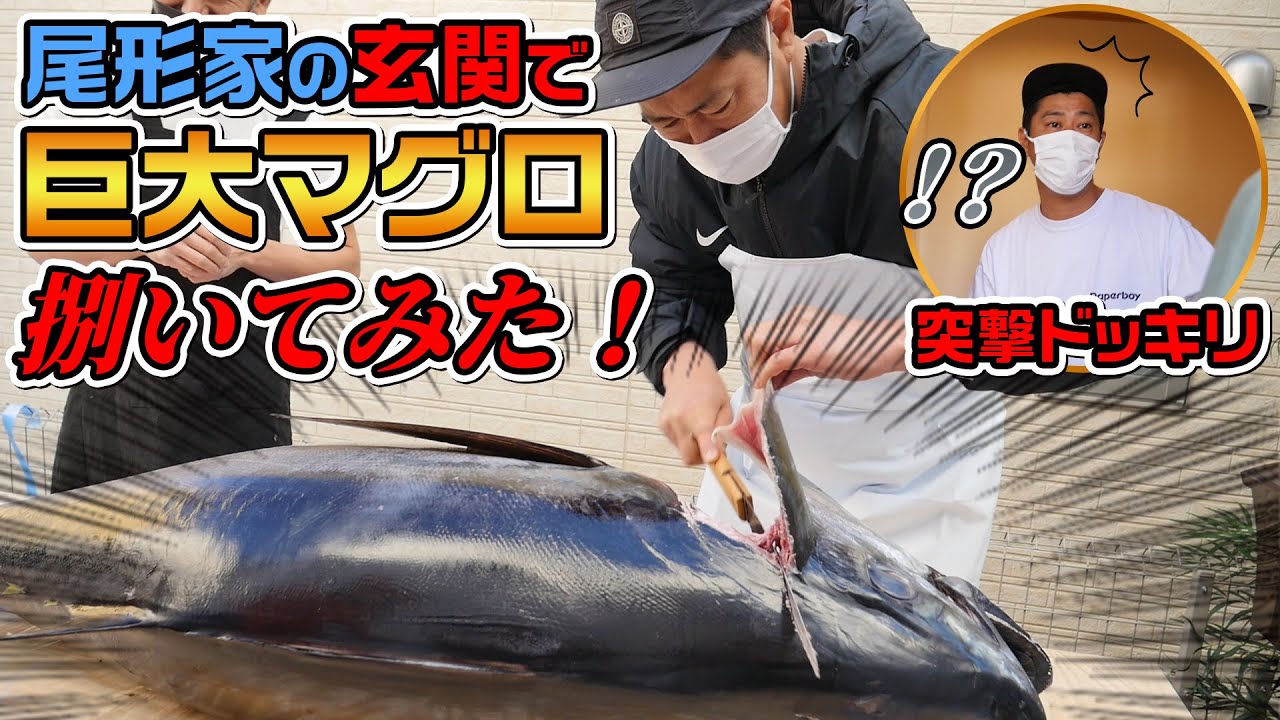 野球、映像