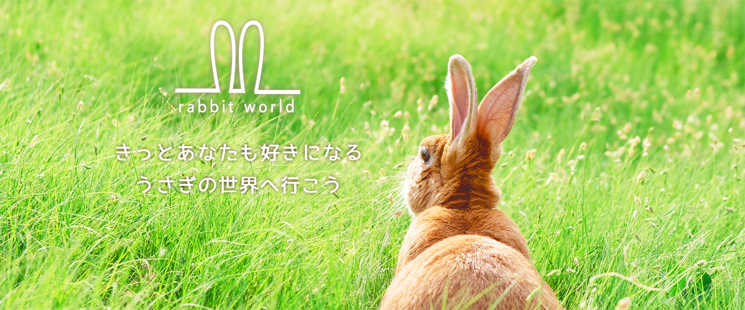 Webサイト(rabbitworld)