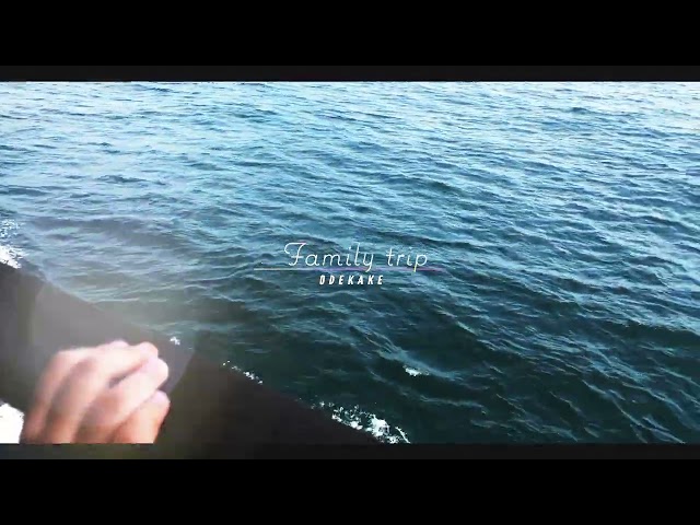 vlog portfolio