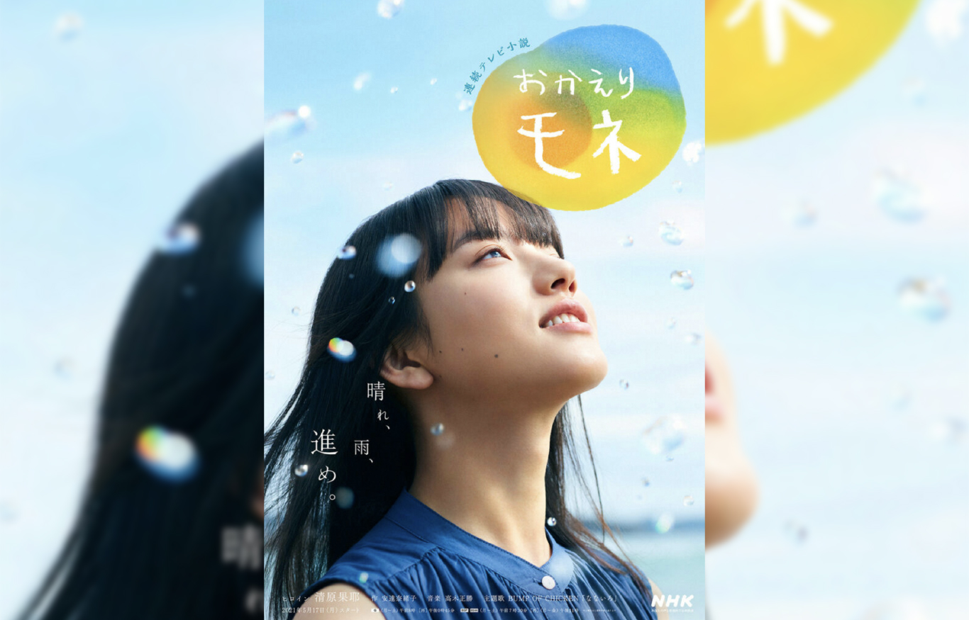 海の生き物、写真