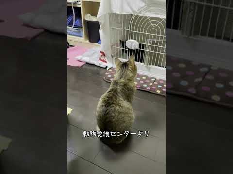 営業、モノクロ