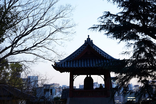 culture、□執筆