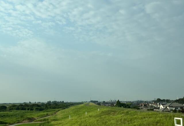 bg