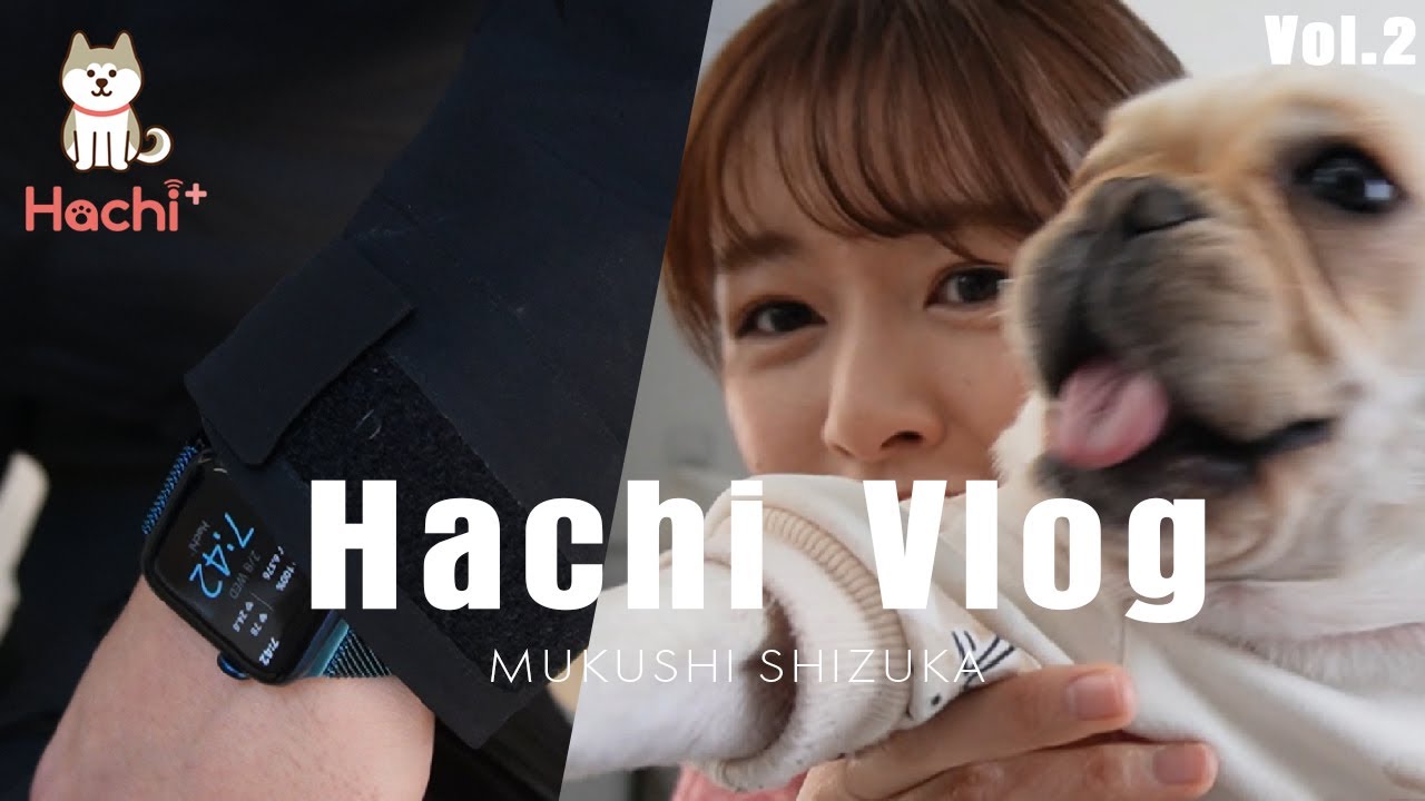 【モデル・リポーターの六串しずかさん】Hachi Vlog 