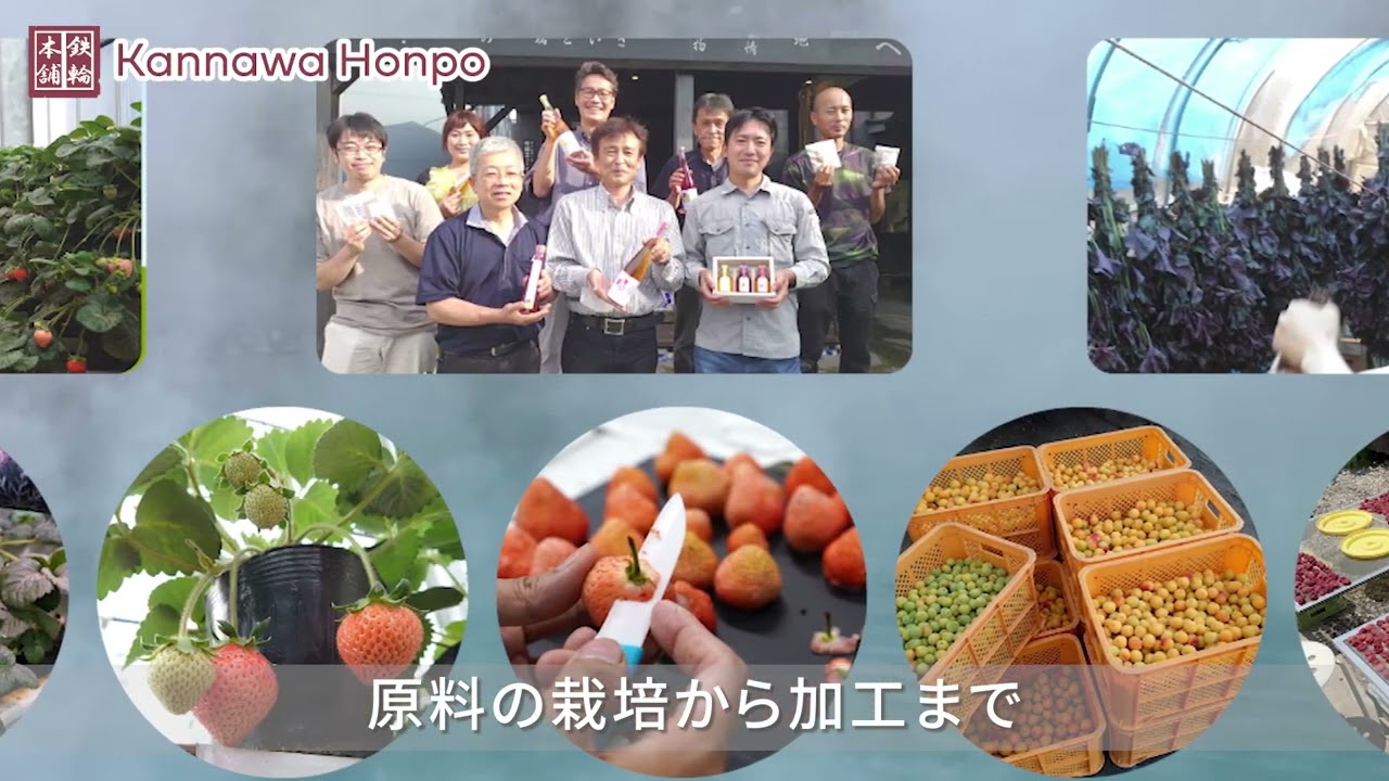 コンサルタント、portfolio