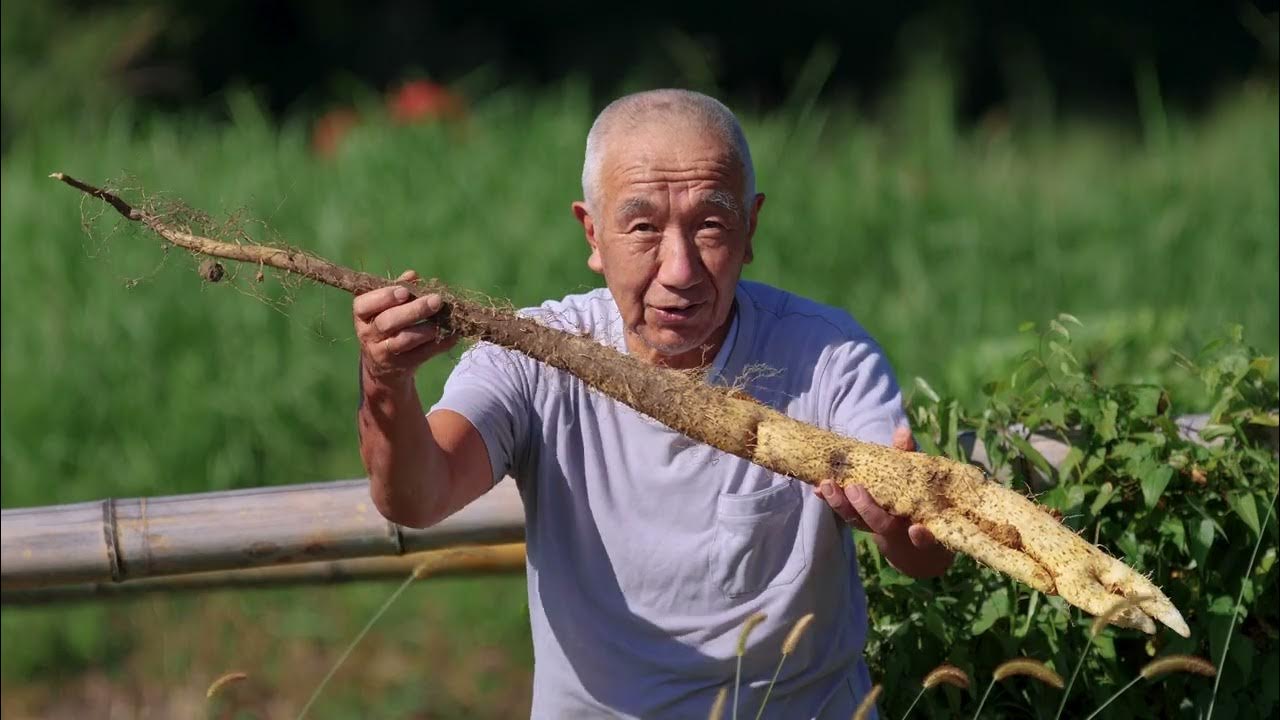 20230929　自然薯農家　中村勉さん