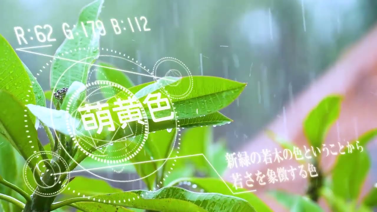 色彩検定PR広告　30秒ver