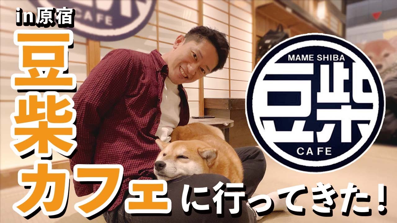スイーツ、編集