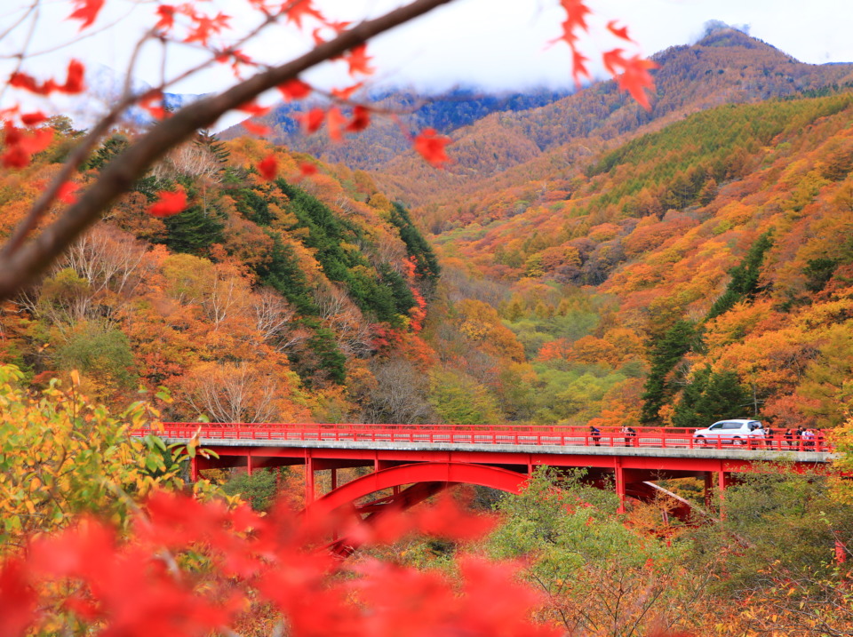 【3密回避】八ヶ岳山麓で紅葉ドライブ＆ハイキング - 観光旅行メディア｜まっぷるトラベルガイド