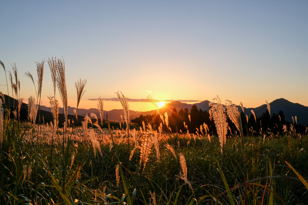 年間50万人が訪れる村で地域に根付いて起業するチャレンジャー求む / 日本仕事百貨