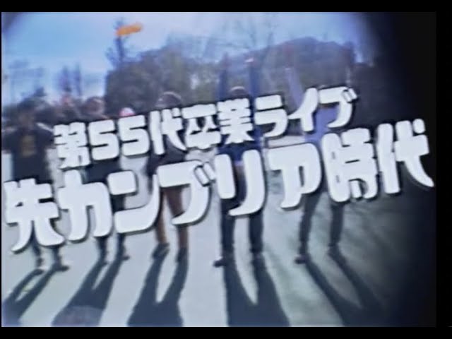 フライヤー、tvアニメ