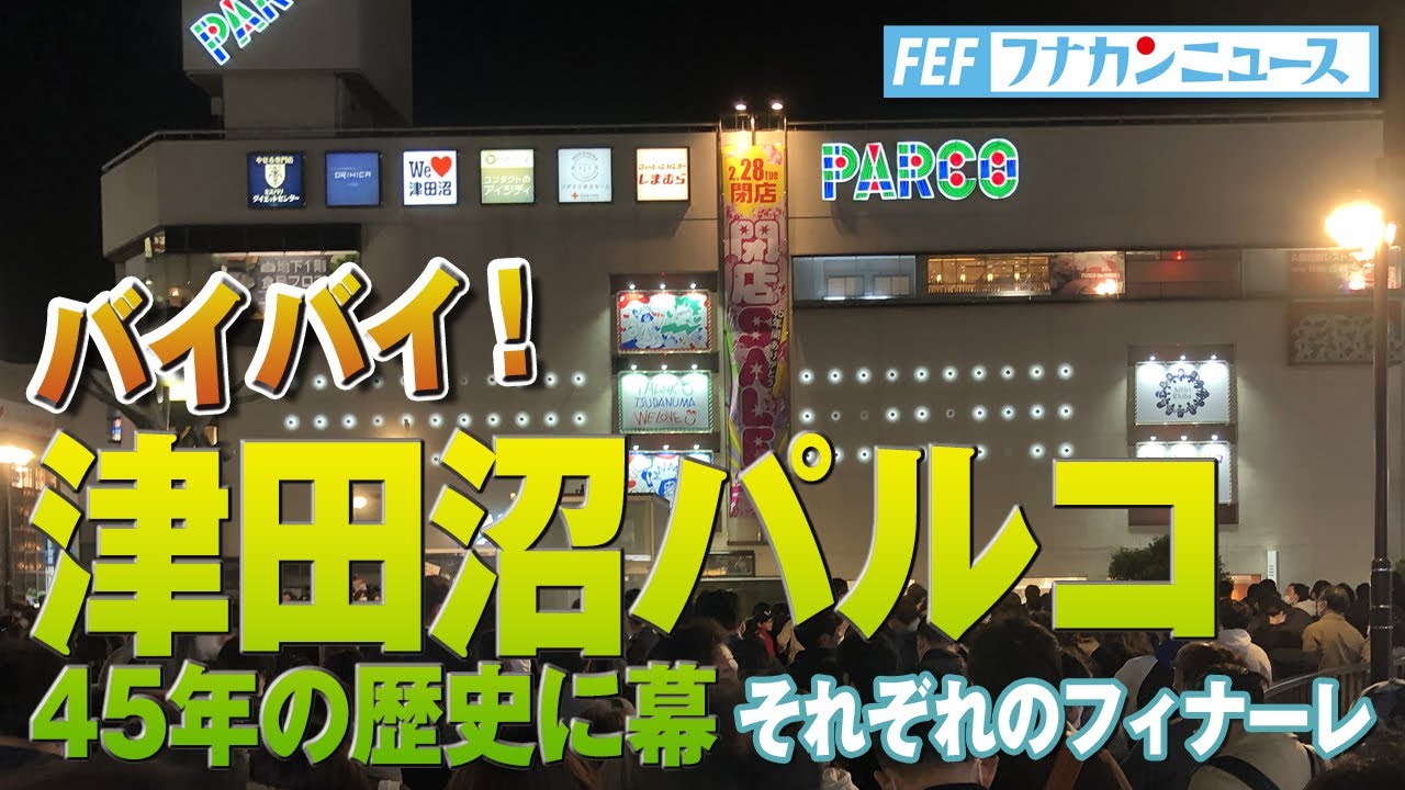 イラストレーター、デザイナー、動画撮影
