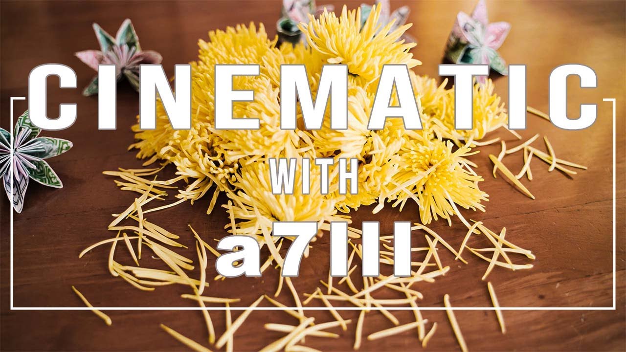 [食用菊 「もってのほか」]　CINEMATICに撮影・編集してみた