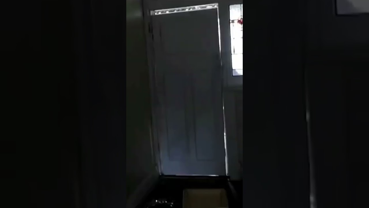 vshojo、男