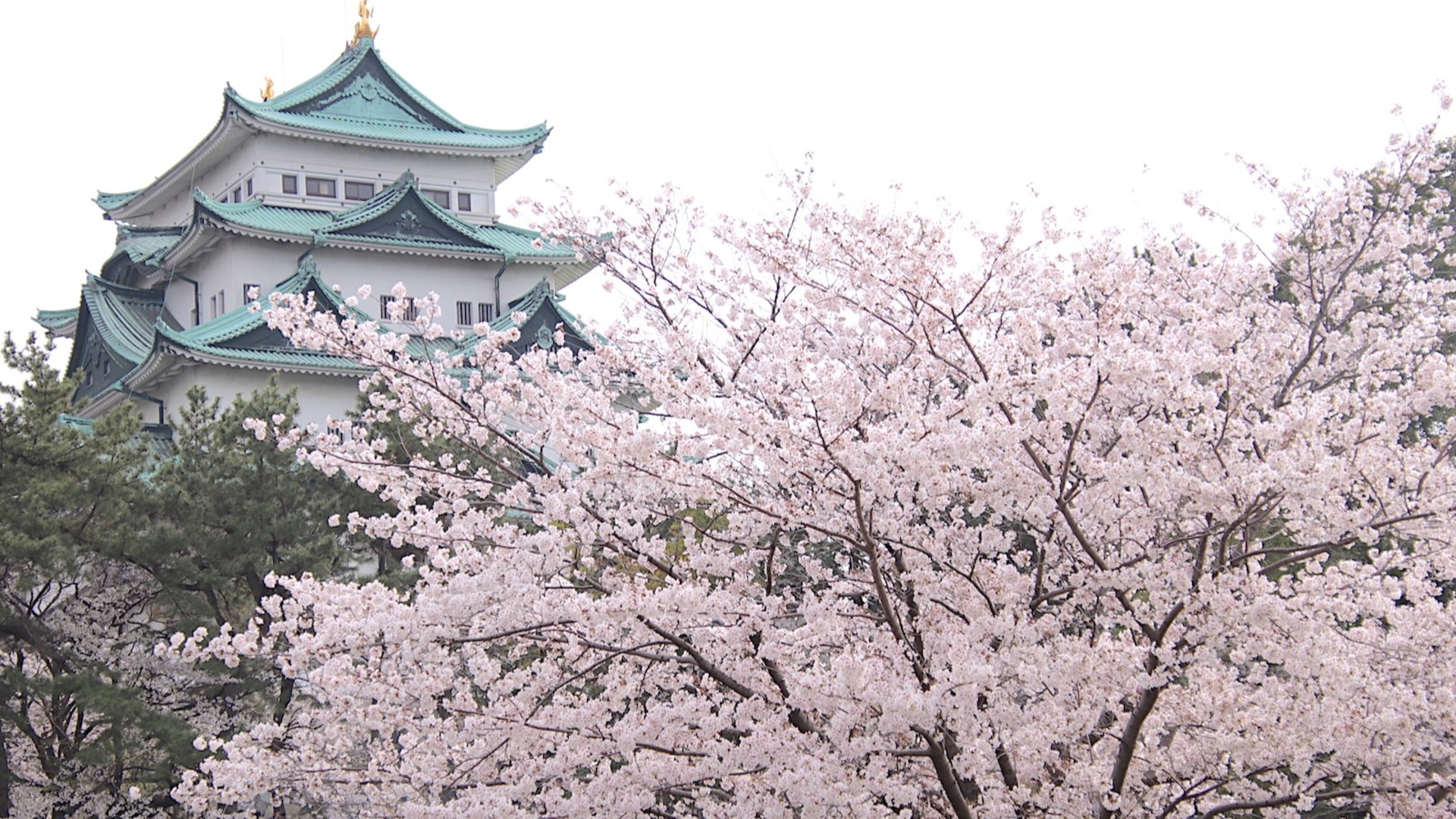 photo、北区
