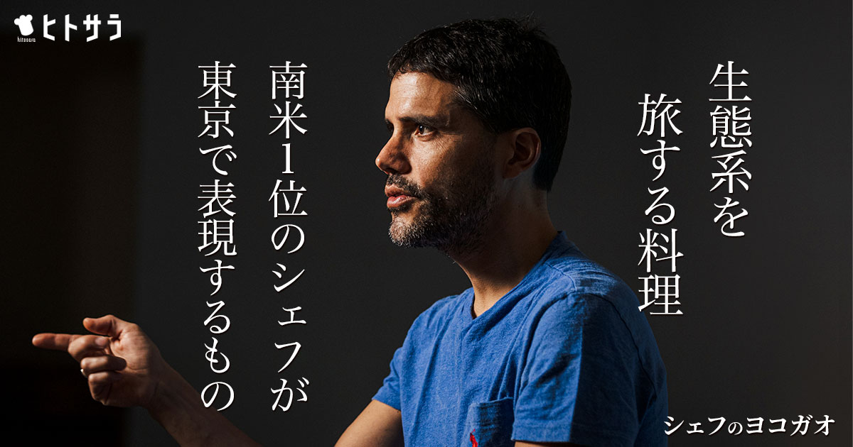 ライティング、装丁