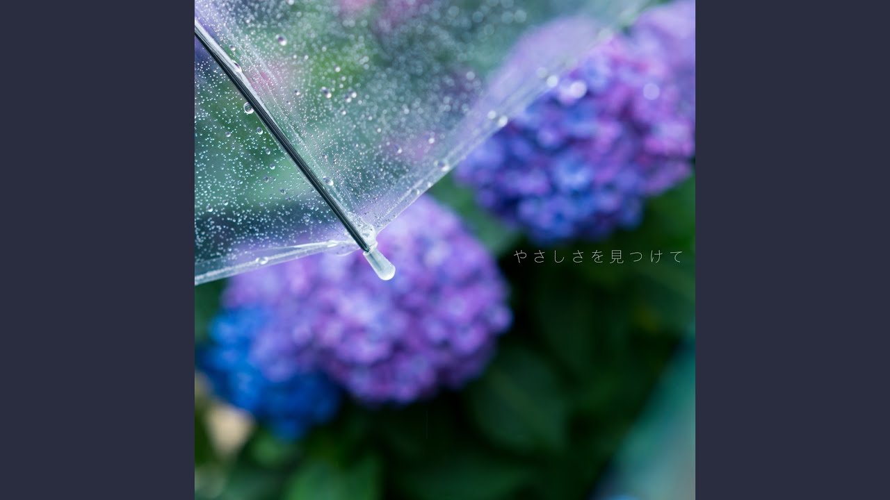モデル、bgm