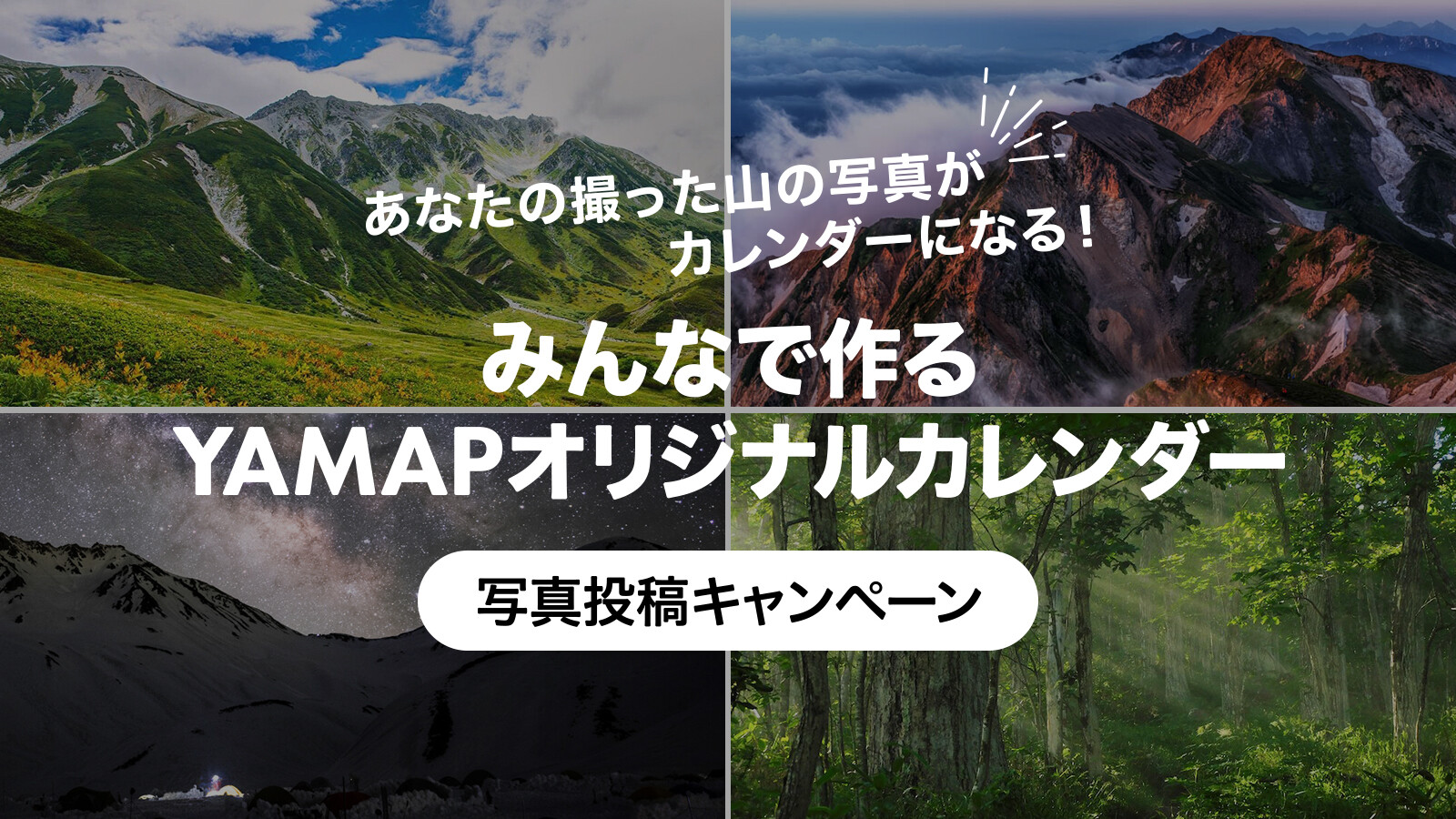写真、その他実績