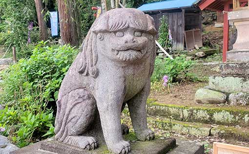 地域、かわいい