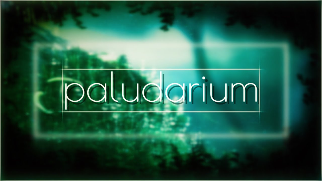 【オリジナルMV】Paludarium [feat. mapia]