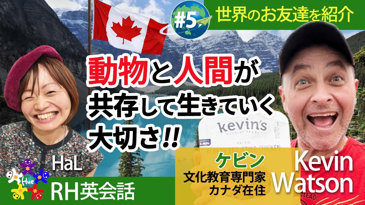 動物、＊youtube＊