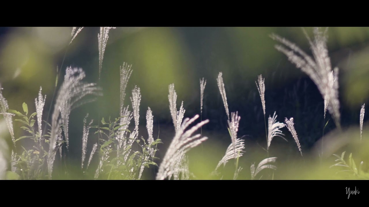 vlog、for artist