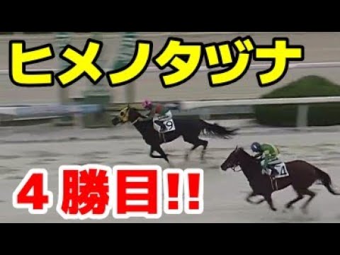 テレビ、youtuber