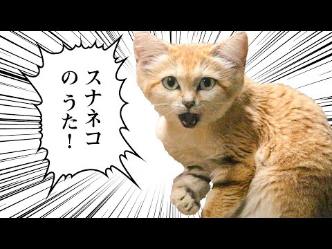 音響監督、social media
