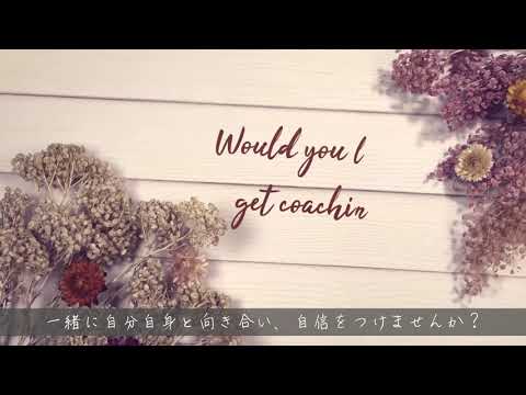 コーチングPV 