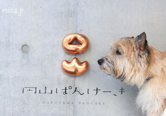 ズン、ペット