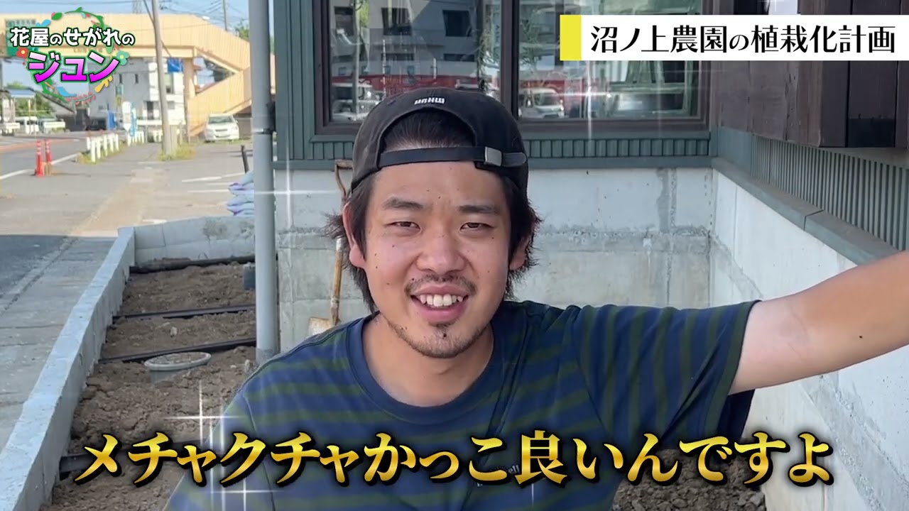 ビジネス系＋バラエティ系