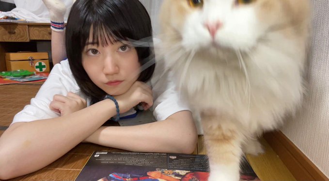 ストロングゼロにはビーフジャーキー茶漬けを。酒テロYouTuberが勧める飲み方 | bizSPA!フレッシュ