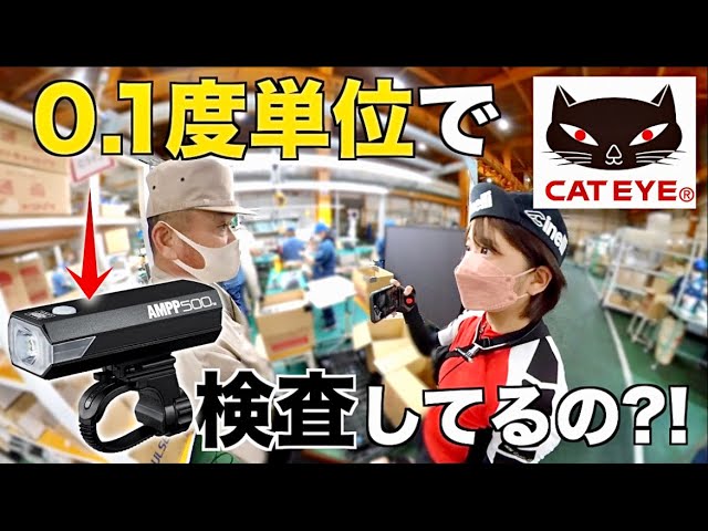 cat、取材