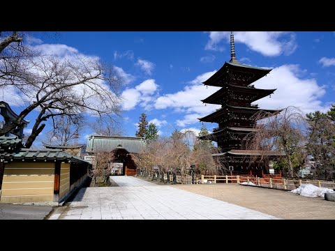 Cinematic Vlog　五重塔
